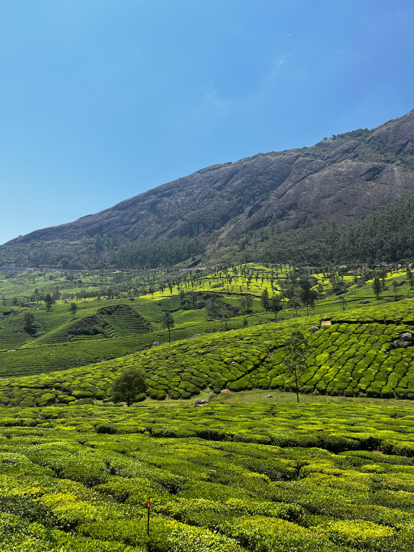 Munnar